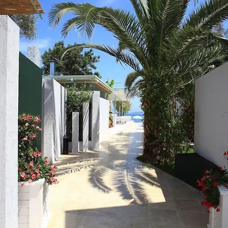 度假村 Grand Yazici Club 5*