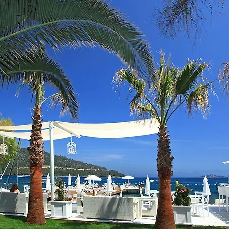 Grand Yazici Club 度假村