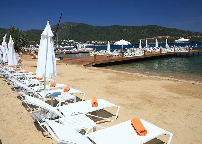 Semesteranläggning (resort) Grand Yazici Club