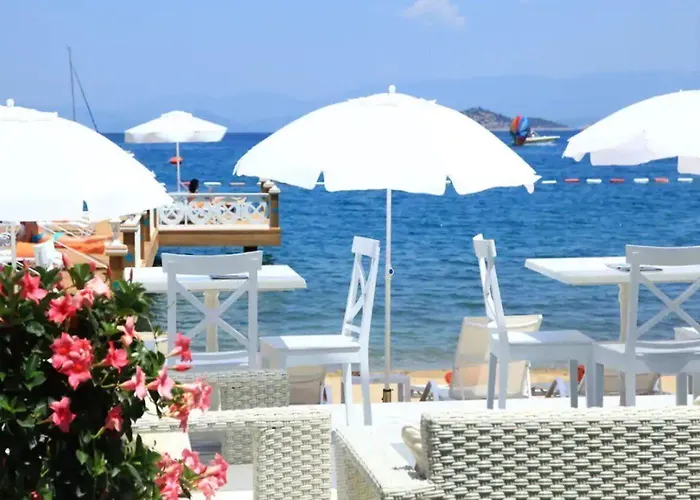 Semesteranläggning (resort) Grand Yazici Club