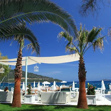 Grand Yazici Club トルバ