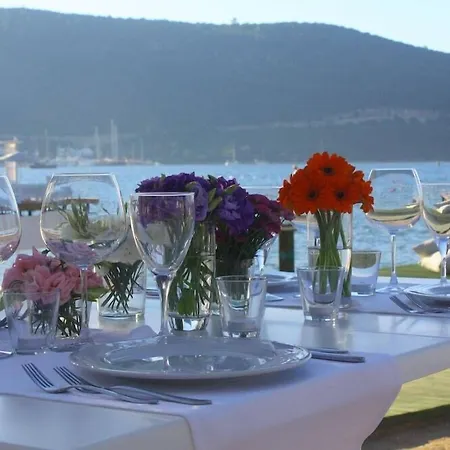 Semesteranläggning (resort) Grand Yazici Club Torba