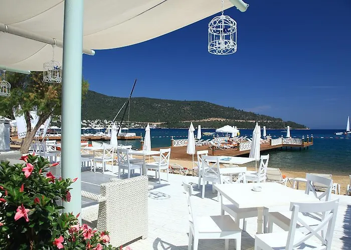 Semesteranläggning (resort) Grand Yazici Club Torba